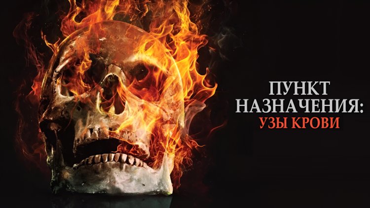 ПУНКТ НАЗНАЧЕНИЯ: УЗЫ КРОВИ