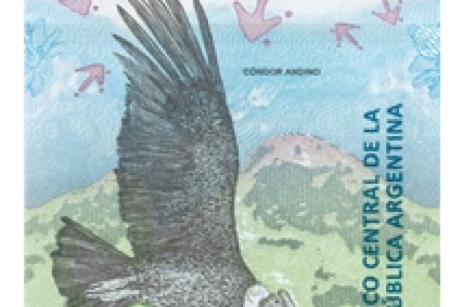 50 аргентинских песо