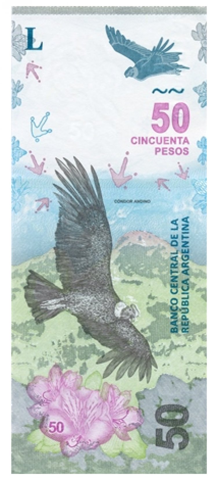 50 аргентинских песо
